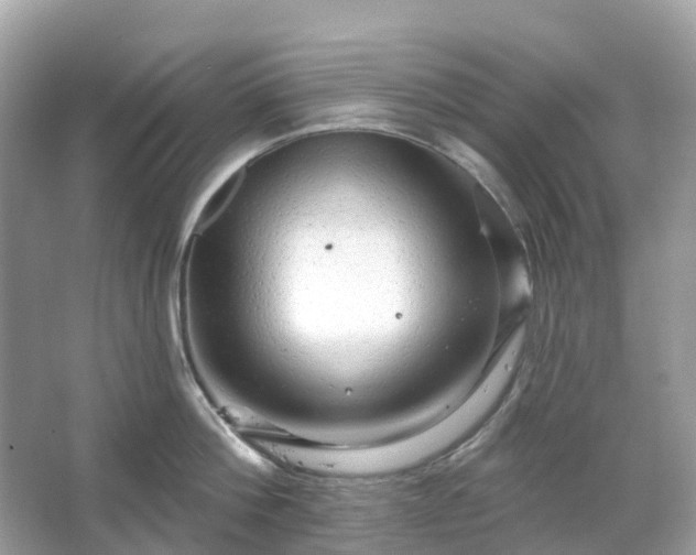 X0000066120812200603131326