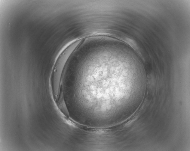 X0000066120814200603131326