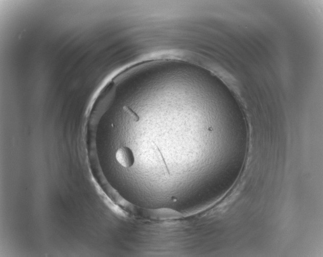 X0000066120816200603131326