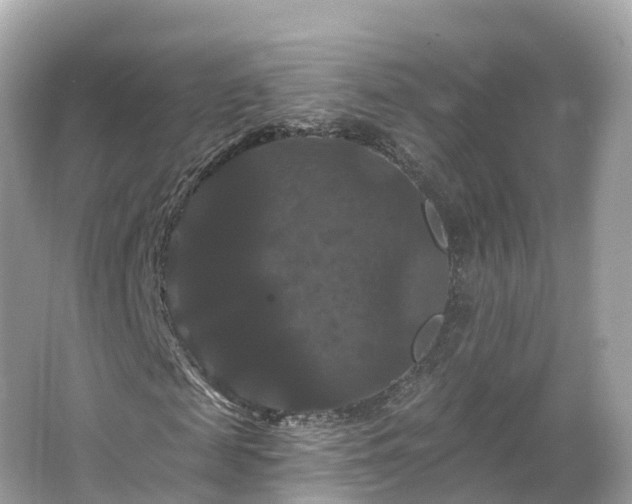 X0000066120817200603131326