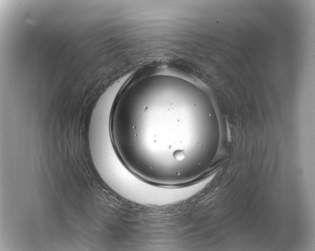 X0000066120818200603131326