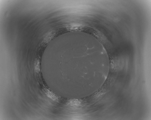 X0000066120820200603131326