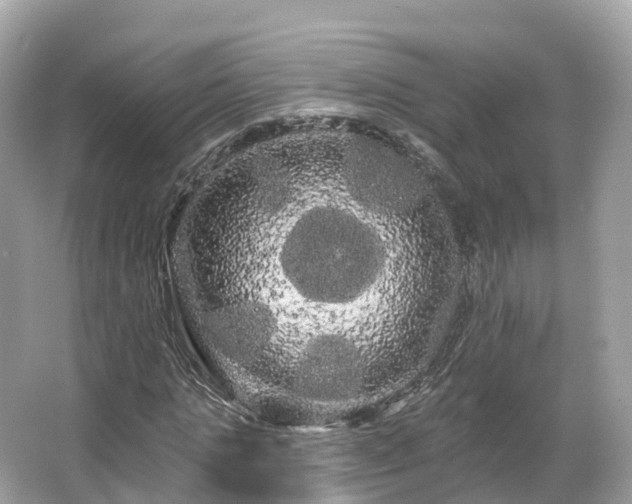 X0000066120821200603131326