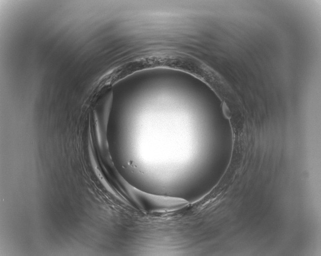 X0000066120822200603131326