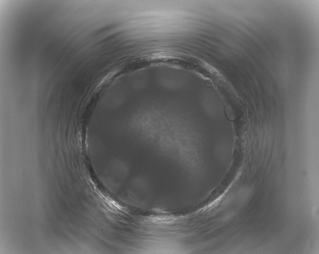 X0000066120825200603131326