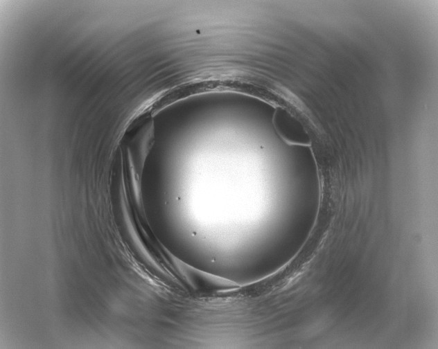 X0000066120826200603131326