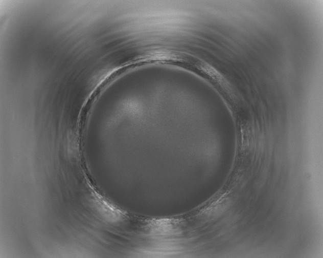 X0000066120828200603131326