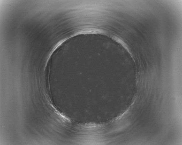 X0000066120829200603131326