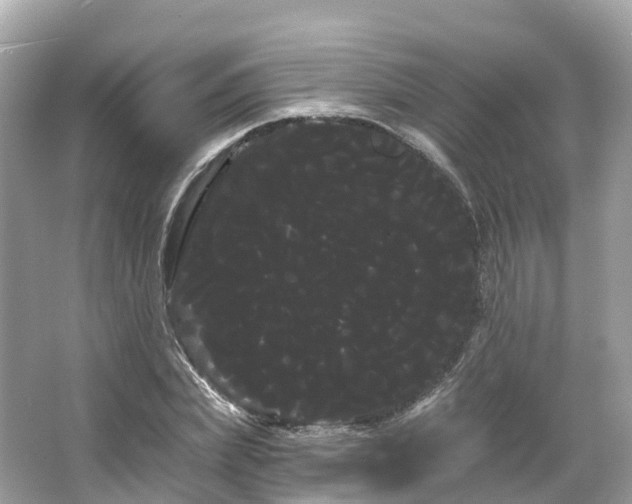 X0000066120831200603131326