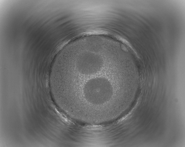 X0000066120833200603131326