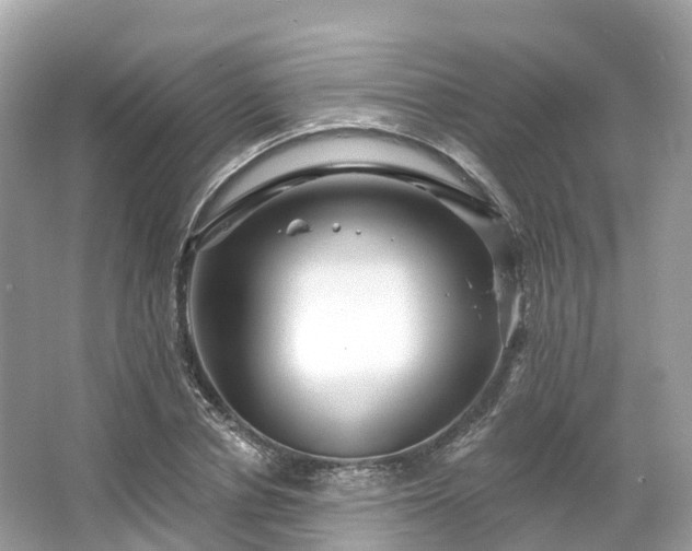 X0000066120834200603131326