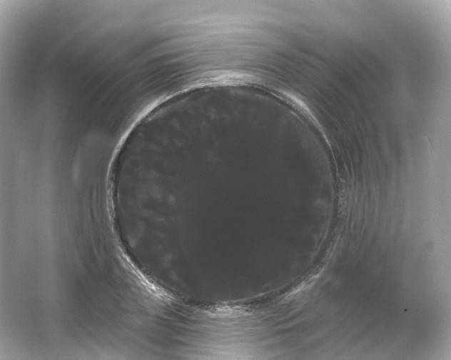 X0000066120835200603131326