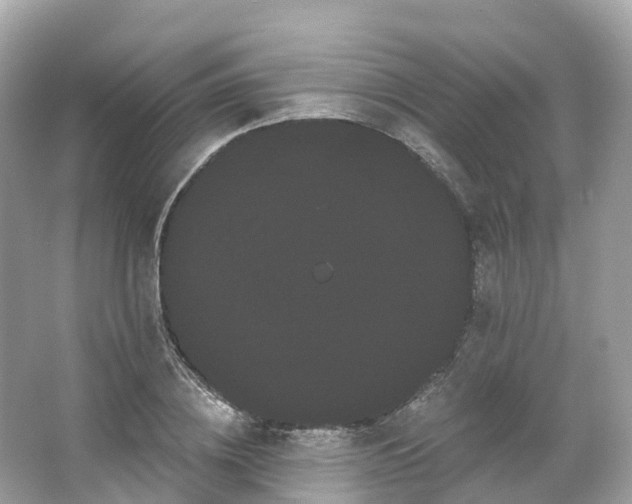 X0000066120836200603131326