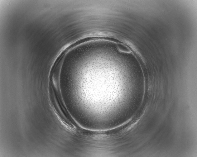 X0000066120837200603131326