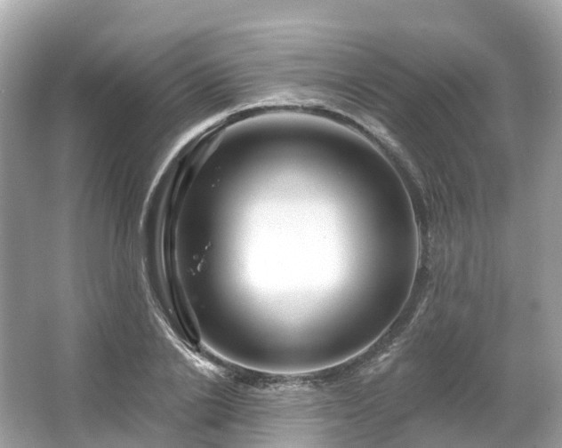 X0000066120838200603131326