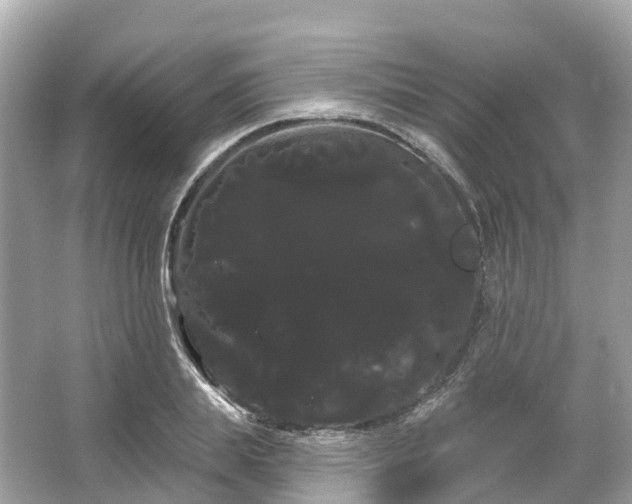 X0000066120839200603131326