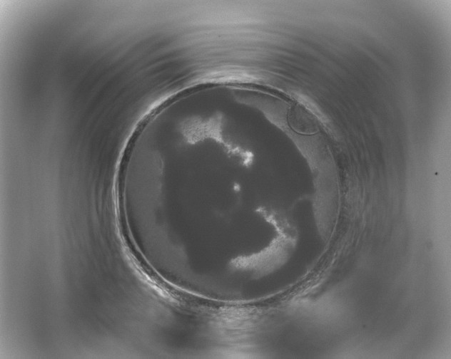 X0000066120840200603131326