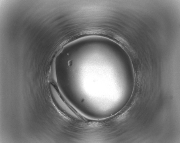 X0000066120841200603131326