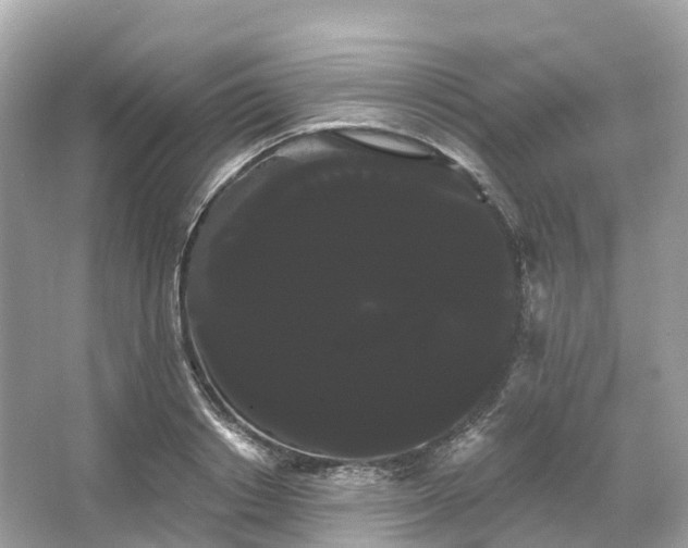 X0000066120842200603131326