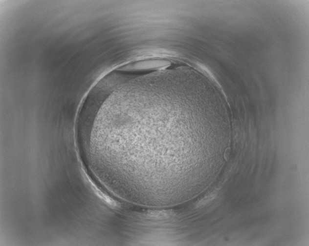 X0000066120843200603131326