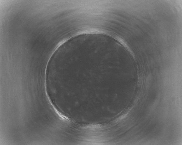 X0000066120845200603131326