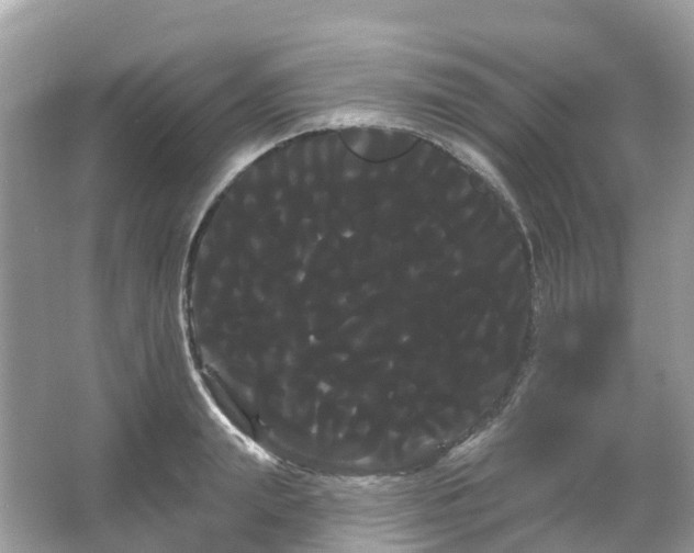 X0000066120847200603131326