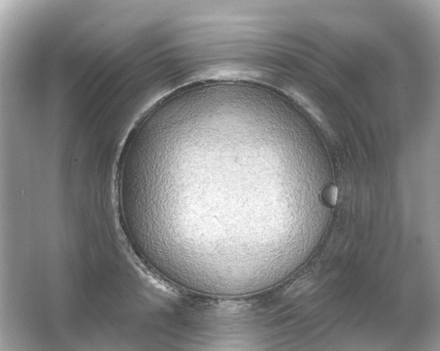 X0000066120848200603131326