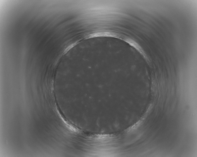 X0000066120849200603131326