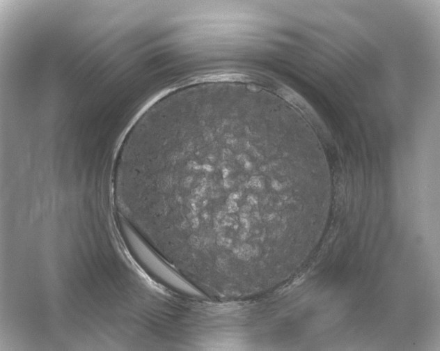 X0000066120852200603131326