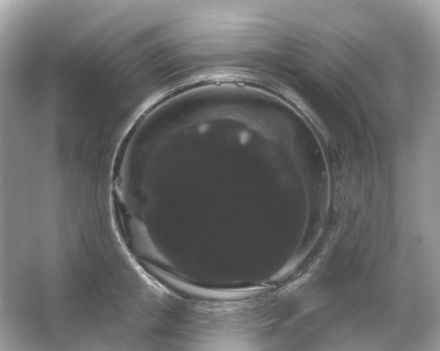 X0000066120853200603131326