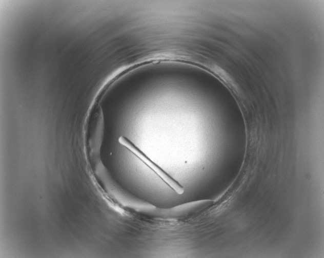 X0000066120854200603131326