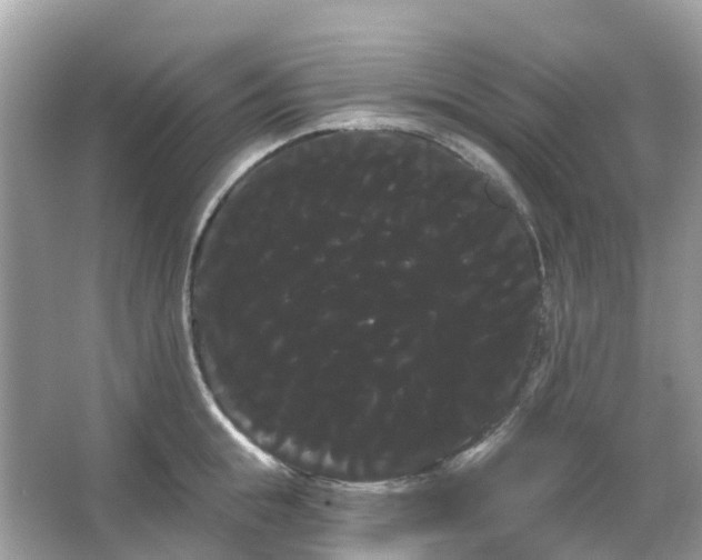 X0000066120855200603131326