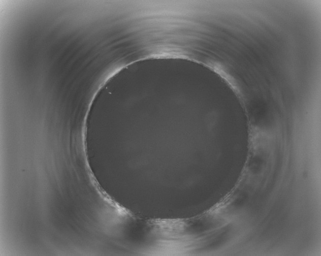 X0000066120856200603131326