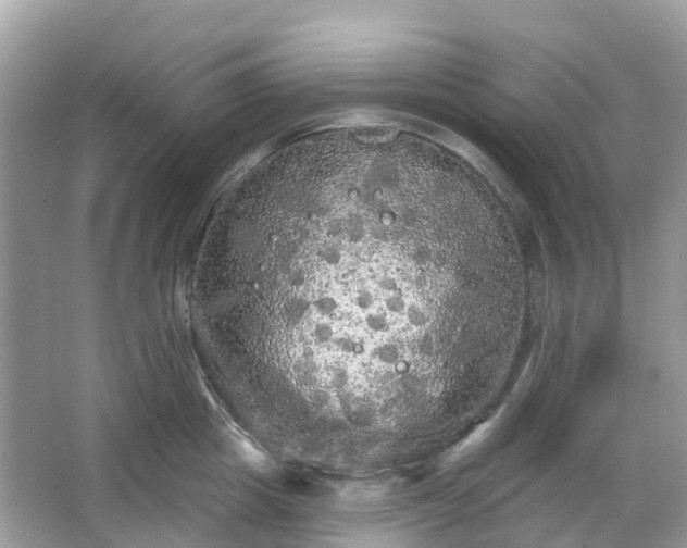 X0000066120857200603131326