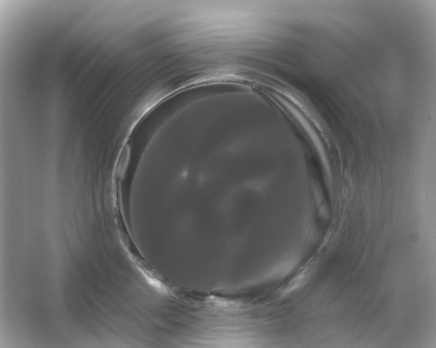 X0000066120858200603131326