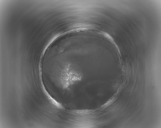 X0000066120859200603131326