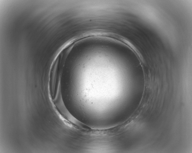 X0000066120861200603131326