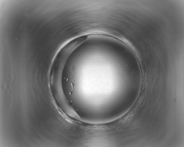 X0000066120862200603131326