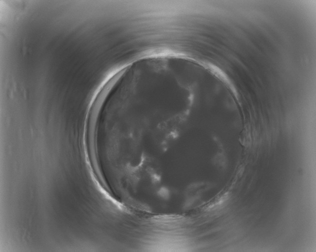 X0000066120863200603131326