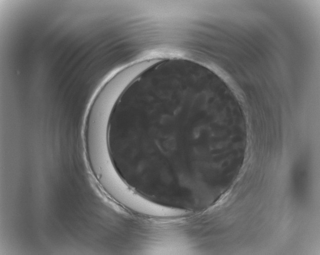 X0000066120864200603131326