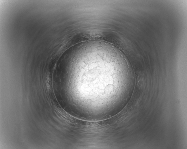 X0000066120866200603131325