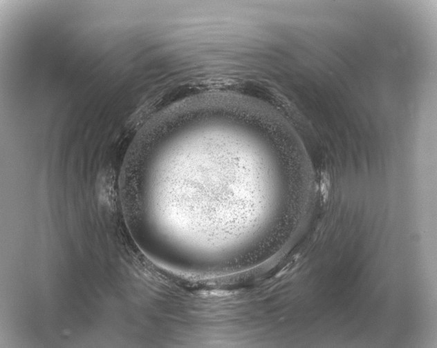 X0000066120867200603131325