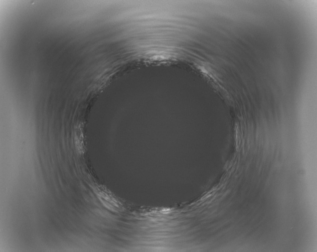 X0000066120868200603131325