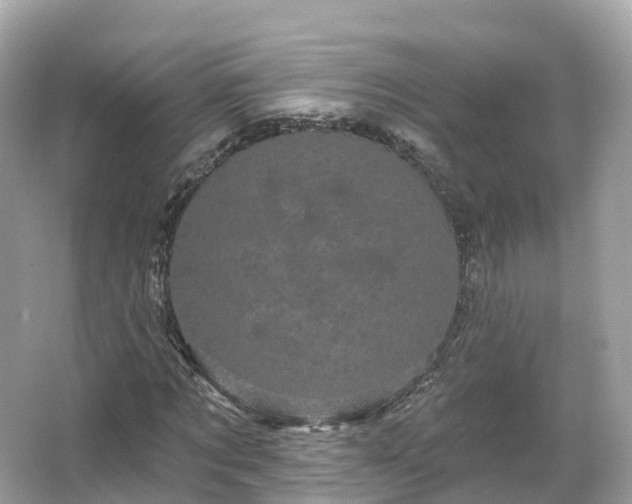 X0000066120869200603131325