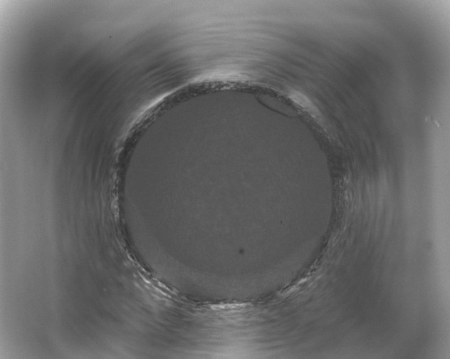 X0000066120872200603131325