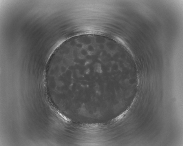 X0000066120875200603131325