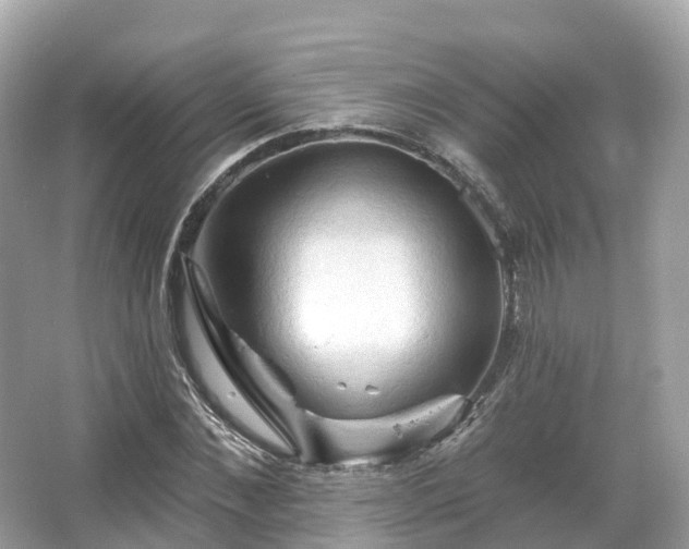 X0000066120876200603131325