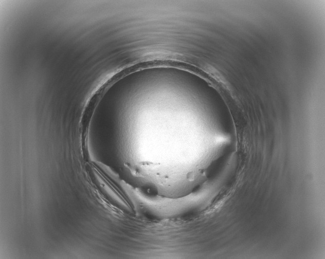 X0000066120877200603131325