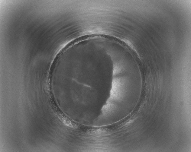 X0000066120879200603131325