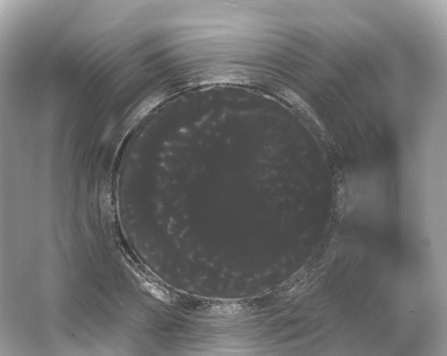 X0000066120882200603131325